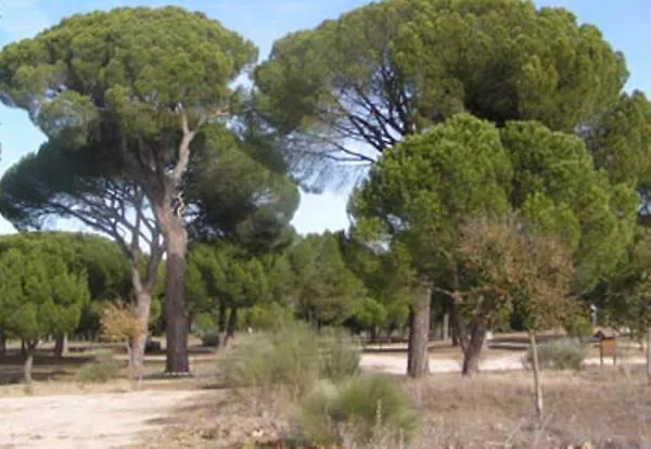 Penzion Camino Real 2*